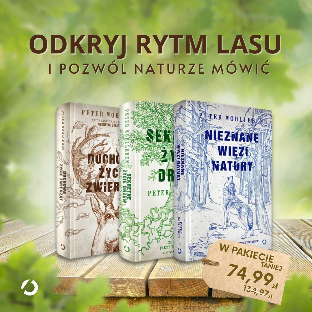 Grafika Social Media 12